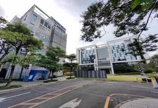 中国澳门人工种植冬虫夏草的作用