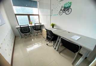 河南金钗石斛哪家质量好