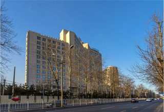 宁波居家绿植租赁公司