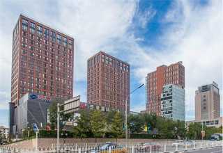 淮扬美食肉圆炖蒲菜