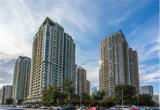 拉萨租赁恐龙订制价格