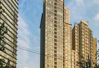 湖南除铬硅胶吸附剂