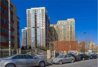 专业上网行为管理哪家好